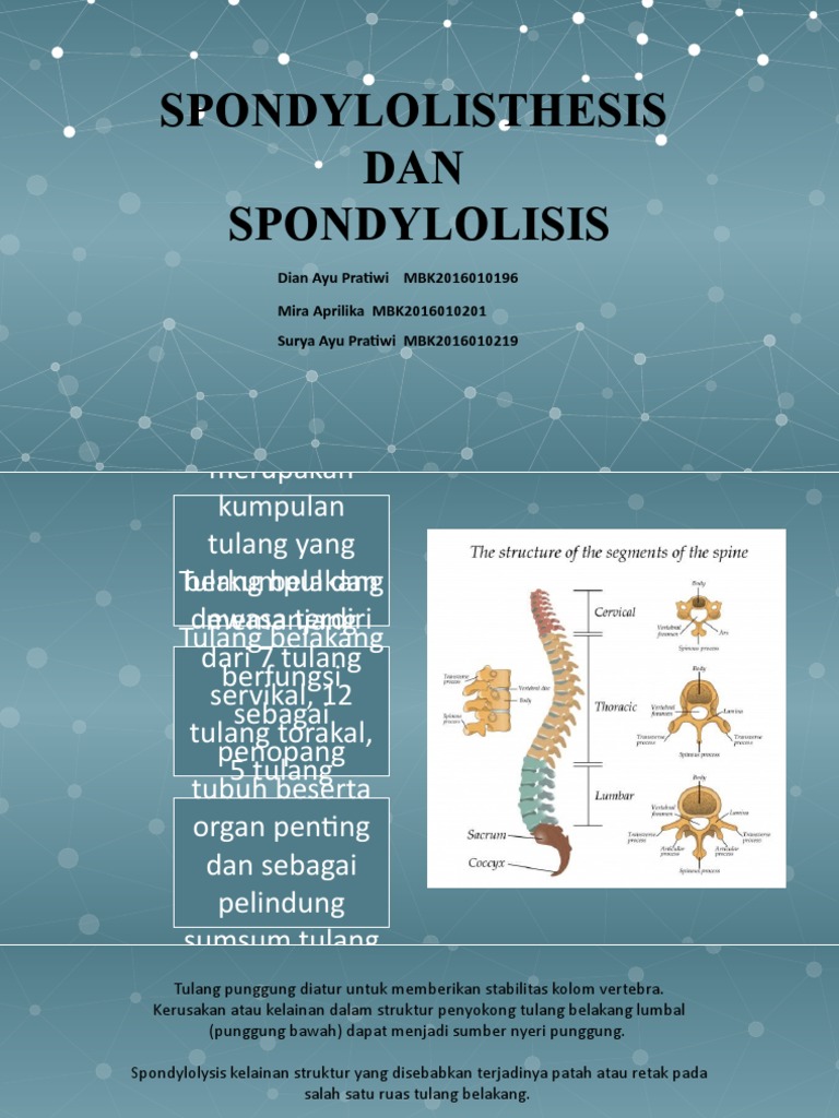 Spondilo Edit | PDF