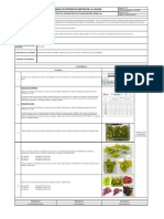 DT-SGC-F03-09-16 Nstructivo de Muestreo de Calidad de Materia Prima-Uva