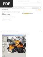 Combined Grayscale and Color Images - CodeProject