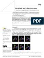 Mathematics: Building Emerging Images With Tiled Orders and Posets