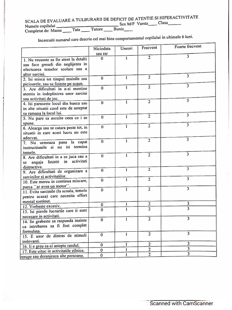 Test Portage, Fise de Evaluare | PDF