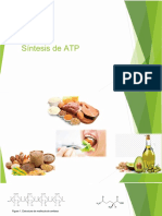 Síntesis de ATP img_OCR