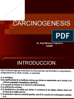 Carcinogenesis SIDEM