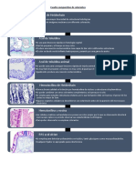 Cuadro Comparativo de Colorantes