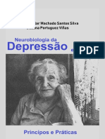 Livro Neurologia Depressáo Idosos 2019