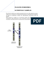 Duplicación cromosómica: Características y ejemplos (menos de