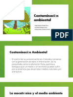 Contaminación Ambiental - Investigacion