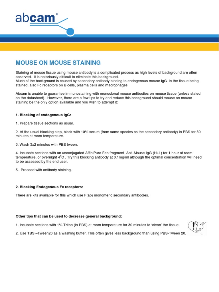 Mouse on Mouse Staining Techniques | PDF | Technology & Engineering