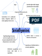 Socialización 2