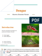Dengue: Enfermedad viral aguda transmitida por mosquitos