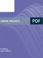 SMDM Project Analysis and Recommendations