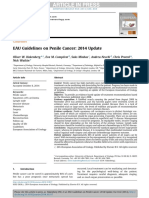 EAU Guidelines On Penile Cancer: 2014 Update