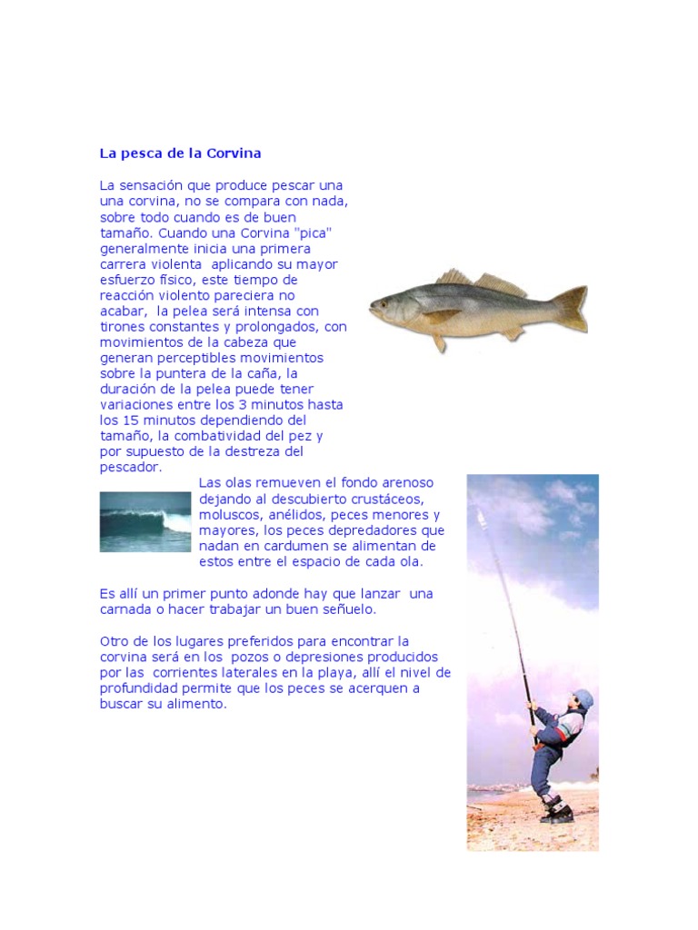 Ac Fish 04 Pesca de La Corvina Pesca recreativa Marea
