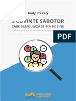 ebook_5_cuvinte_sabotor_care_demoleaza_stima_de_sineAndy_Szekely
