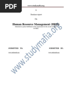 Human Resource Management (HRM) : A Seminar Report On