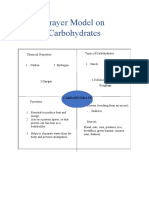 Flayer Model of Carbohydrates for Portfolio 