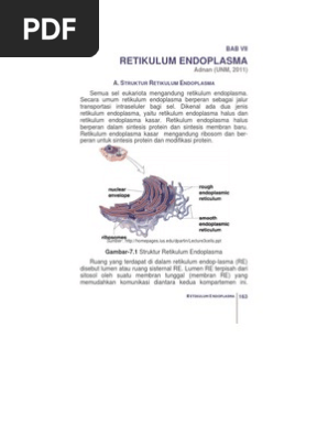 Retikulum Endoplasma Rev Pdf