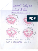 Plan de ingrijire CANCER LARINGIAN