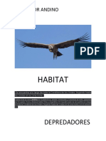 Trabajo Condor