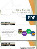 Aula 4 - Protistas - Parte 1 - 2 Ano Do Ensino Médio