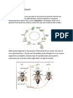 Organismi Assessuati