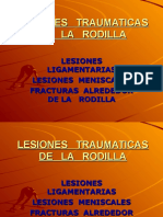 12 A Trauma Rodila Partes Blandas 1228067063022943 9