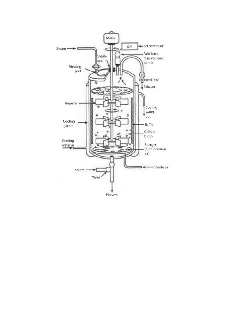 Components of a Fermenter System | PDF | Chemistry | Chemical Engineering