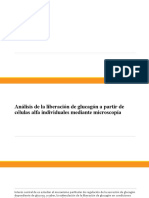 Exposición de Resultados y Discusión