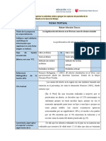 Matriz de La Actividad Individual