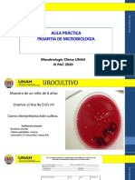 Microbiología UNAH