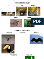 ANIMALES CON PELOS