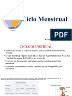 Ciclo Menstrual 210122