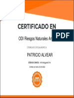 Certidicado Plan de Invierno Patricio Alvear