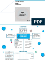 MAPA MENTAL Cap 1 y 2 Emilia Sarmiento