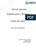 Capitalizacion PDF
