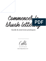 Guide BrushPen Calligraphique