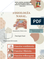 Nasal Physiology: Ventilation, Olfaction and Reflex Functions