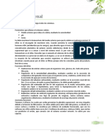 Sistema Renal