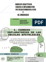 GRUPO 4 - CAMBIOS REACTIVOS ASOCIADOS A INFLAMACION, CAMBIOS RELACIONADOS A DIU y Al EMBARAZO DIAPOSITIVAS