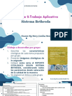 S2.trabajo Aplicativo-Sistema Bethesda