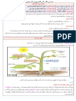 البنيات المسؤولة عن نقل وامتصاص النسغ الخام 2022