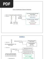 Download Scheme for Carbohydrates by    SN56780975 doc pdf