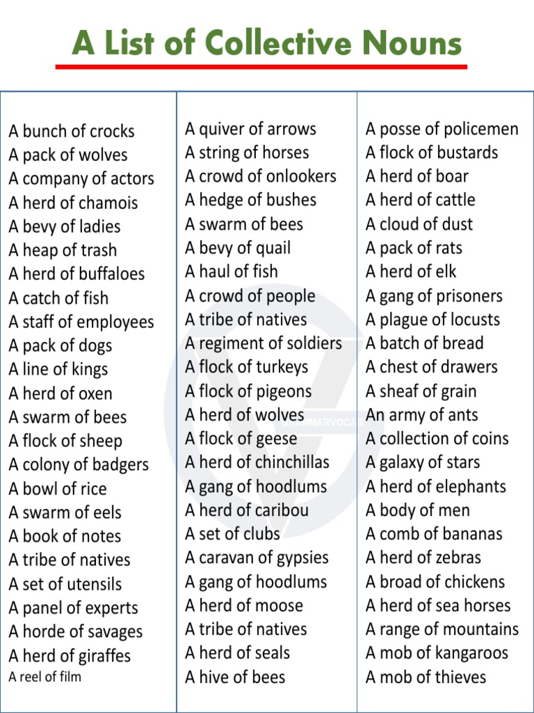 AListofCollectiveNouns PDF Herd Organisms