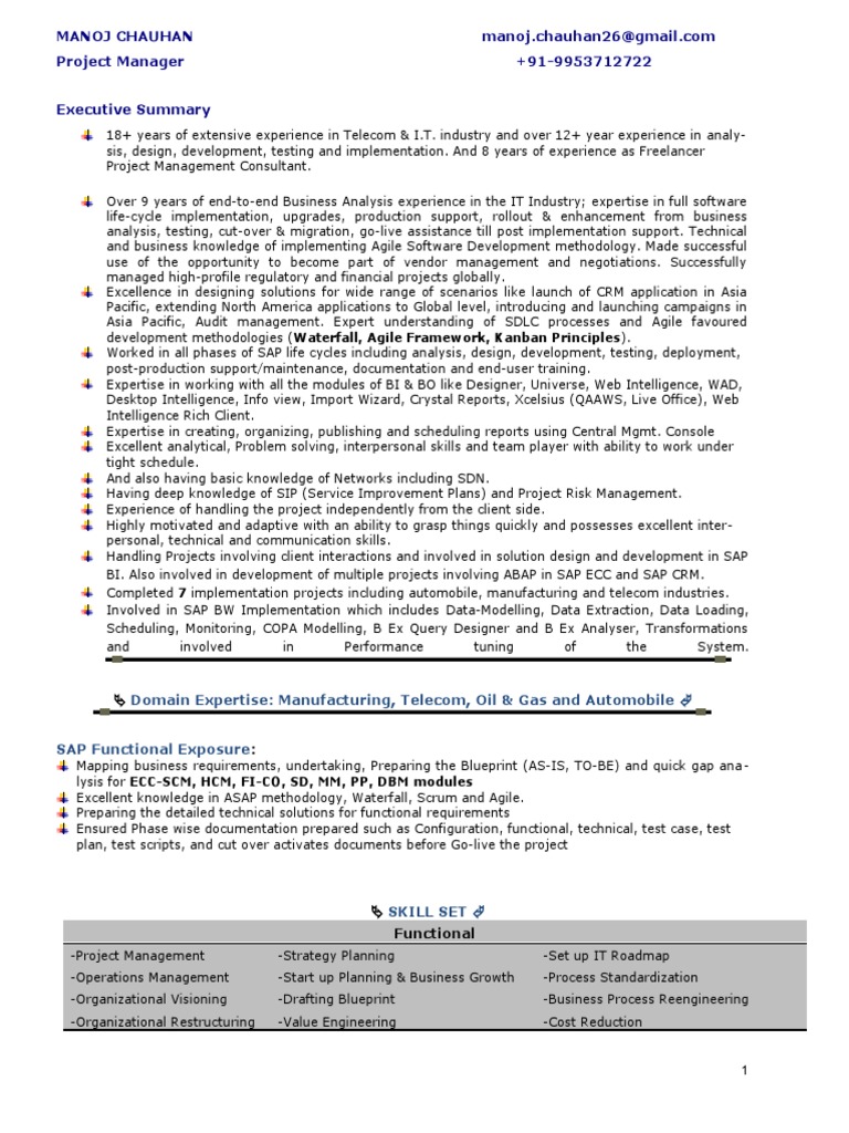 CV Sample | PDF | Software Development Process | Agile Software Development