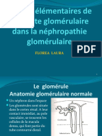 1 - Lésions élémentaires de l’atteinte glomérulaire dans la néphropathie glomérulaire