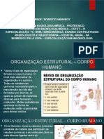 Organização Estrutural – Corpo Humano.pptx Radiobiologia (2)