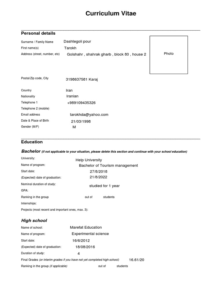 Example CV Bachelor Applications PDF