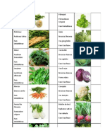 Common Vegetables and Herbs