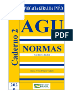 Caderno 2 Normasda AGU2020 AT3062020