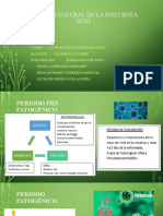 Historia Natural de La Influenza